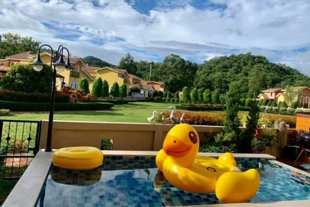 Webp.net resizeimage 15