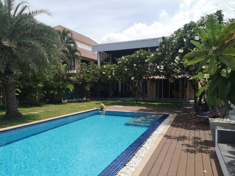 110170731_149361036819348_8571809803256371638_n 110170731 149361036819348 8571809803256371638 n