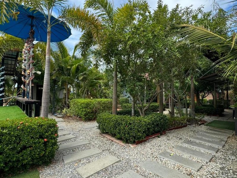 S__25665845_0 S 25665845 0